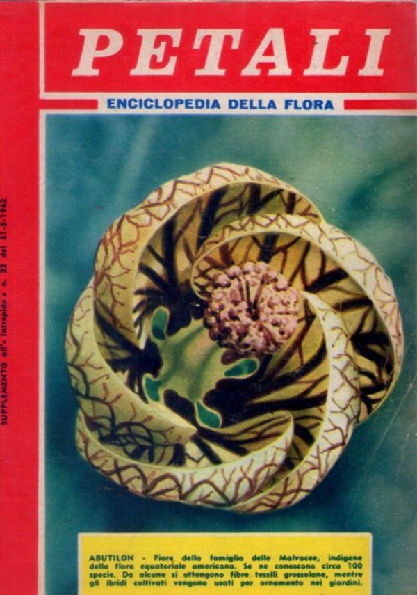 ELMI Enciclopedia delle meraviglie di 