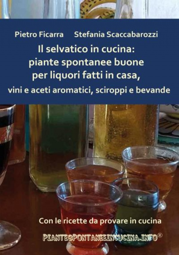 Il selvatico in cucina: piante spontanee buone per liquori fatti in casa, vini e aceti aromatici, sciroppi e bevande di Pietro Ficarra, Stefania Scaccabarozzi