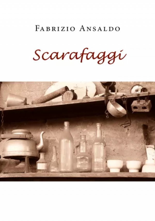 Scarafaggi di Fabrizio Ansaldo