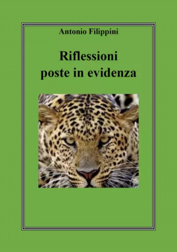 Riflessioni poste in evidenza. Pensieri fuori norma di Antonio Filippini