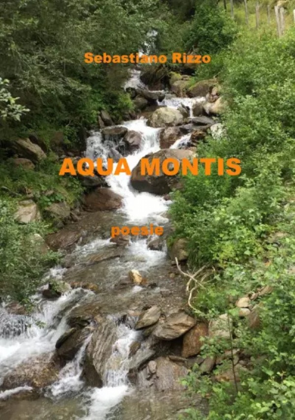 Aqua montis. Poesie di Sebastiano Rizzo