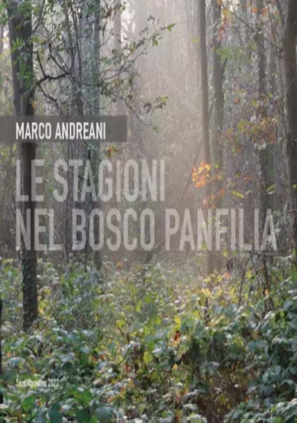 Le stagioni nel Bosco Panfilia di Marco Andreani