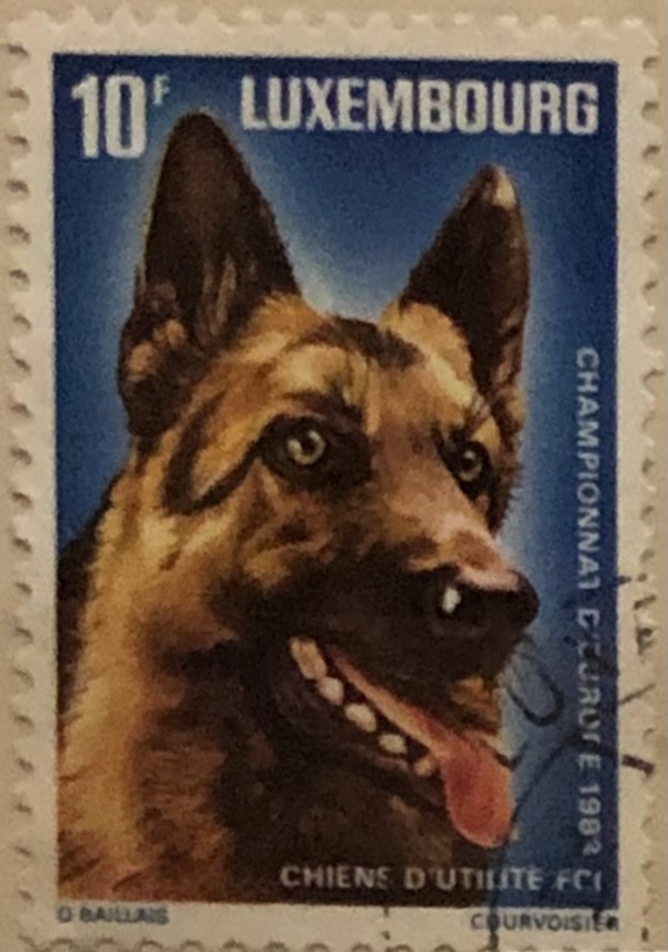 Francobollo Stamp 10 F Luxembourg Chiens d’utilite Champion d’Europe 1983 USATO di O. Baillais