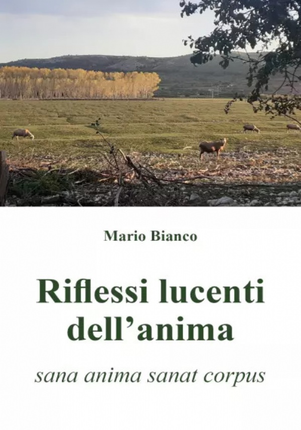 Riflessi lucenti dell’anima (sana anima sanat corpus) di Mario Bianco