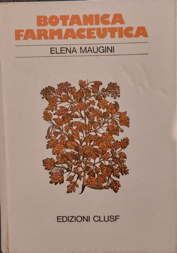 LETICA PROTESTANTE E LO SPIRITO DEL CAPITALISMO di 