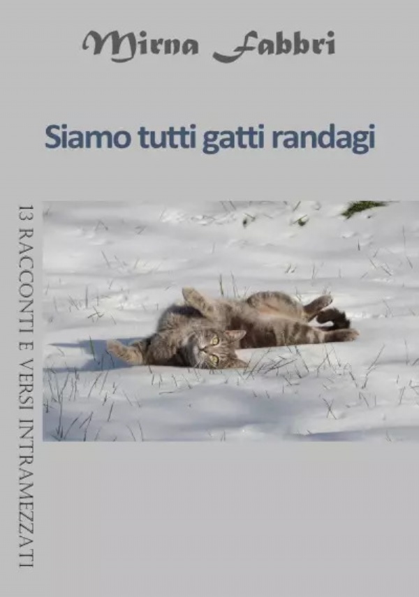 Siamo tutti gatti randagi. 13 racconti e versi intramezzati di Mirna Fabbri