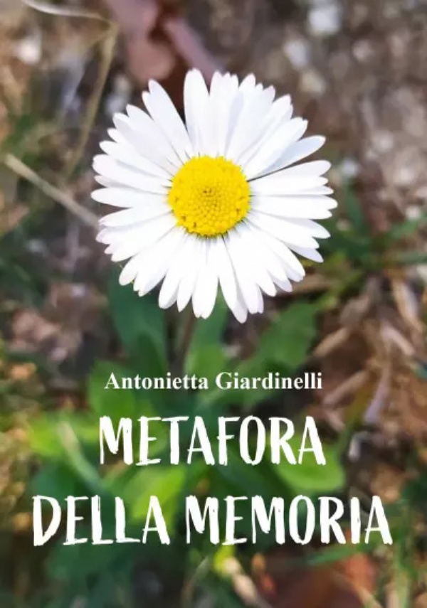 Metafora della Memoria di Antonella Giardinelli