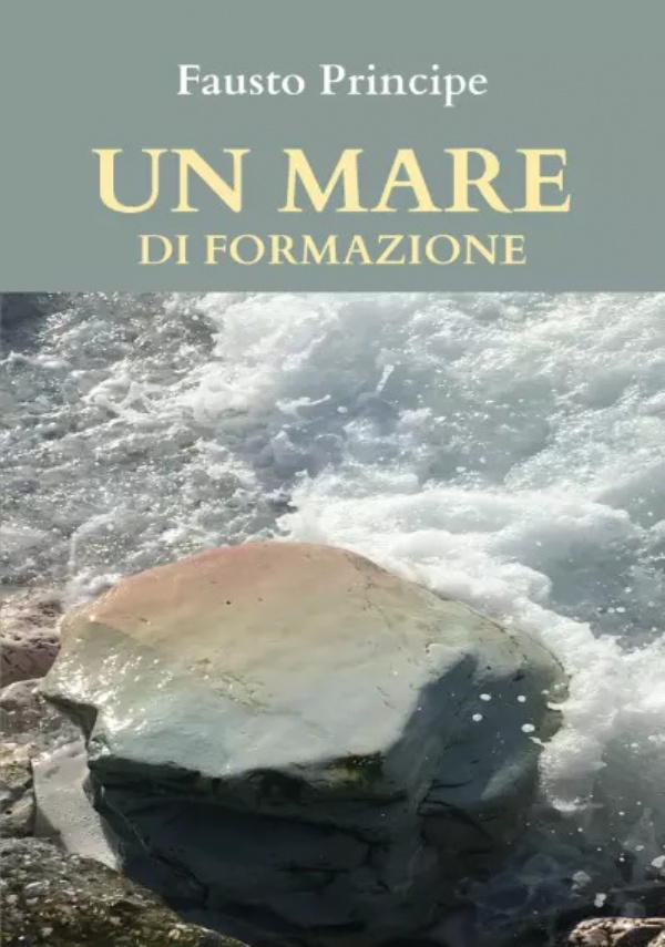 Un mare di formazione. Piccola guida pratica per navigare sicuri nella docenza della formazione d’aula. di Fausto Principe