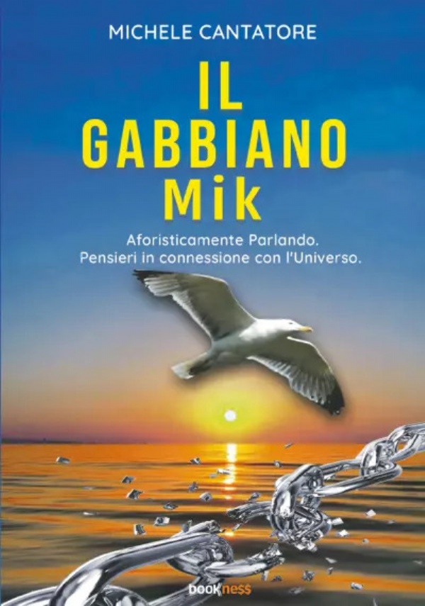 Il Gabbiano Mik di Michele Cantatore