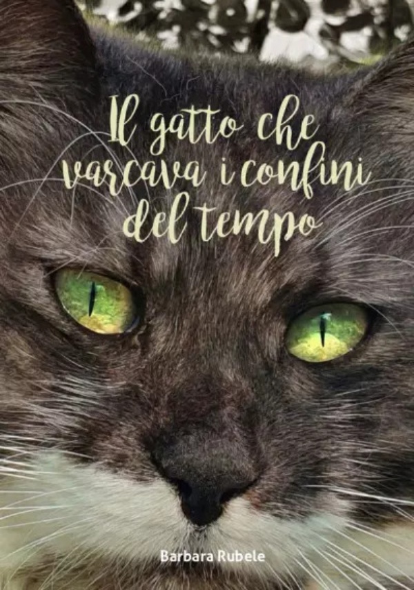 Il gatto che varcava i confini del tempo di Barbara Rubele