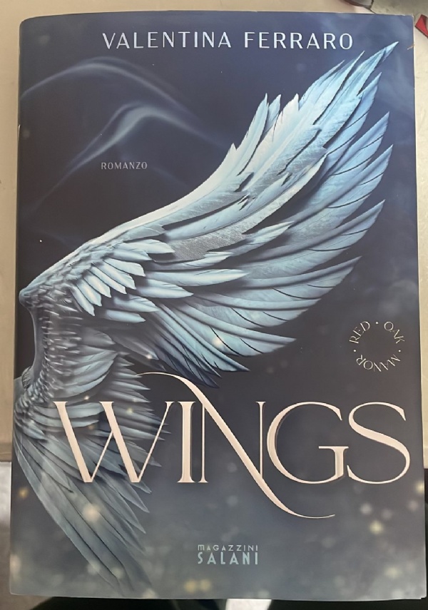 Wings di Valentina Ferraro