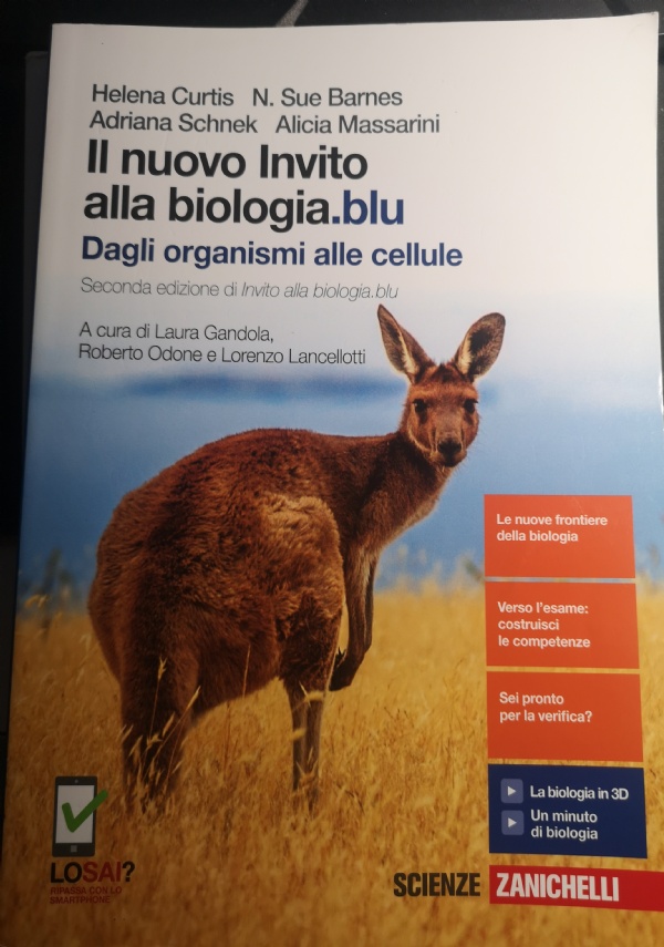 LAmaldi per i licei scientifici.blu di 