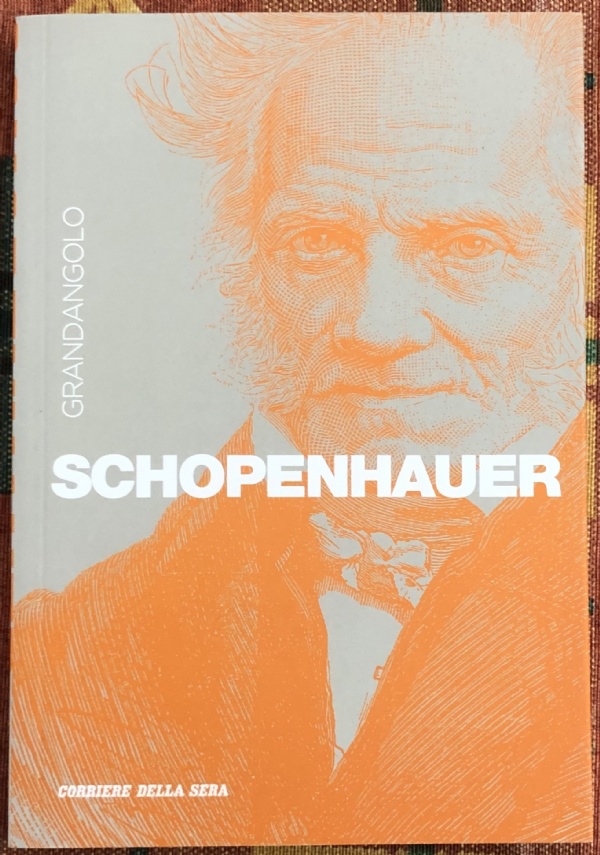 Grandangolo n. 4 - Schopenhauer di Tommaso Tuppini
