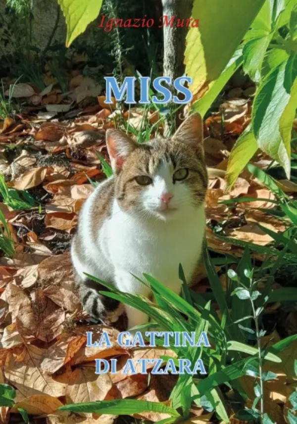 Miss la gattina di Atzara di Ignazio Mura