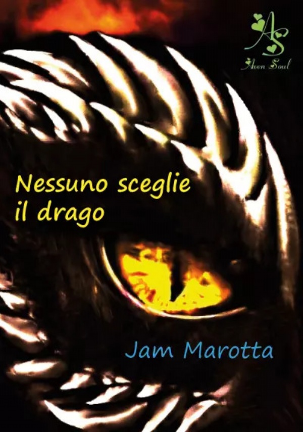 Nessuno sceglie il drago di Jam Marotta