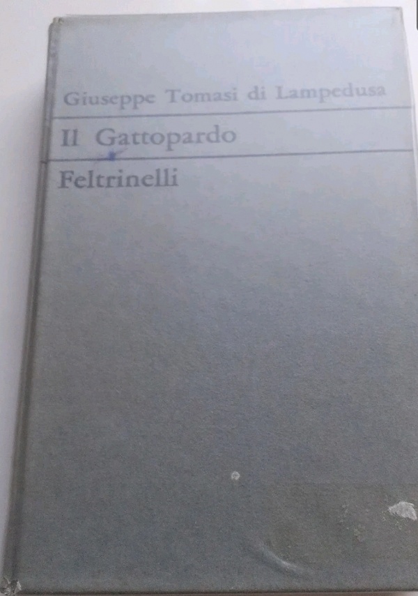 Il Gattopardo di 