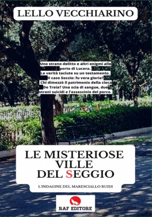 Le misteriose ville del Seggio. L’indagine del maresciallo Ruidi di Lello Vecchiarino