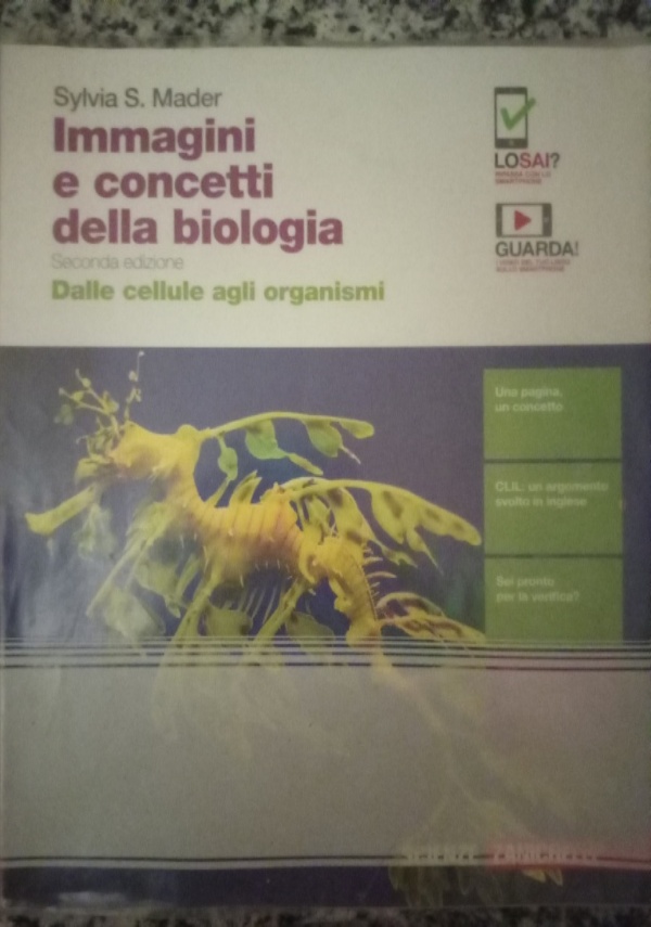 MILLENNIUM 2 dalla met? del seicento alla fine dell?ottocento di 