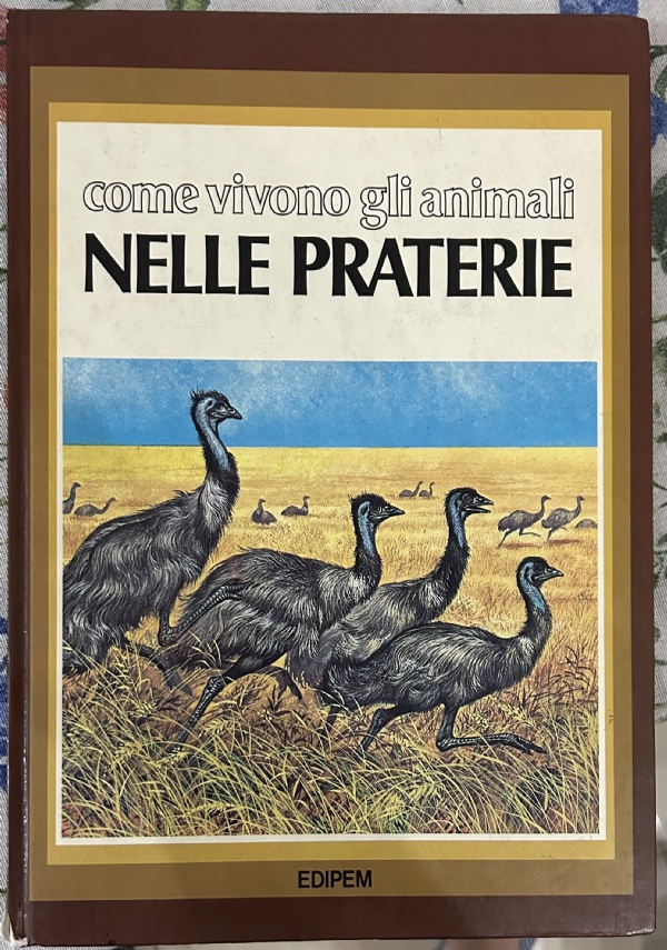 Come vivono gli animali nelle praterie di Daniel Alibert-Kouraguine, John Barber