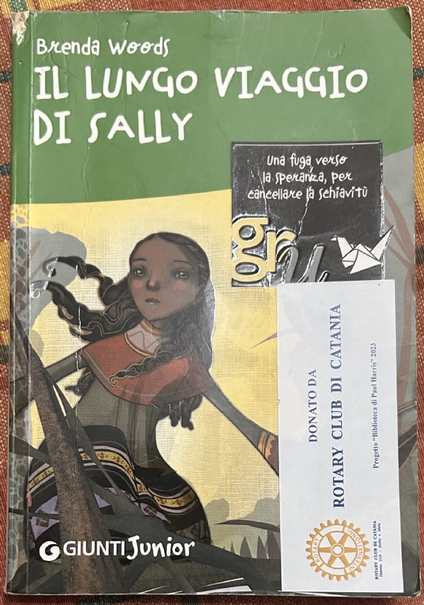 Il lungo viaggio di Sally di Brenda Woods