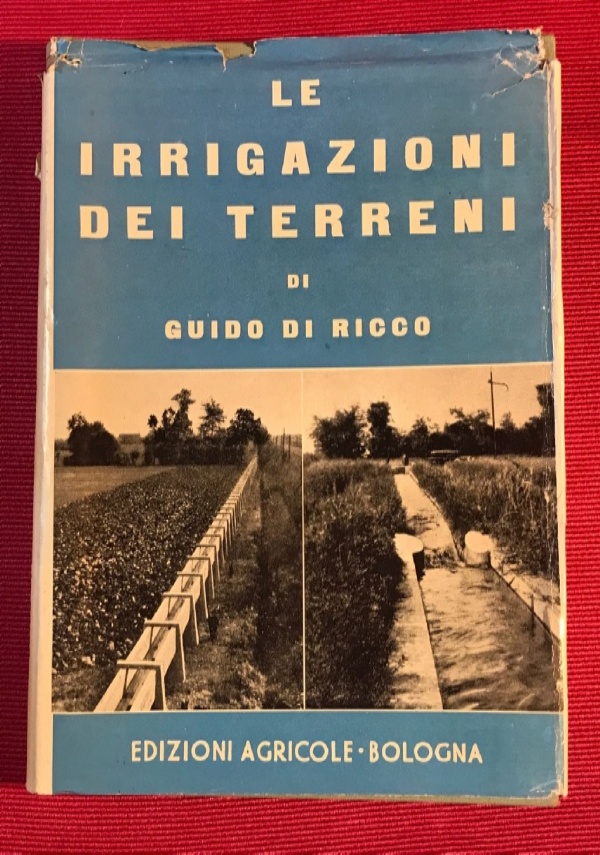 VOGLIO SCENDERE AGENDA 2010 di 