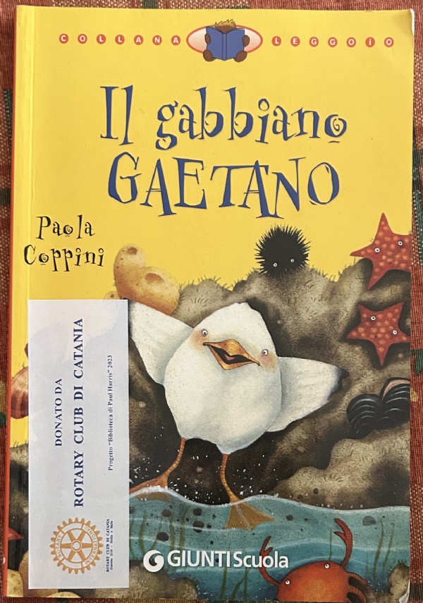 Il gabbiano Gaetano di Paola Coppini