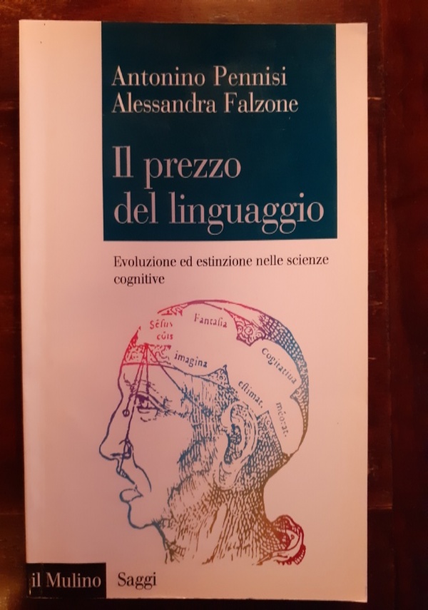 Albi illustrati. Leggere, guardare, nominare il mondo nei libri per  l'infanzia (Frecce)