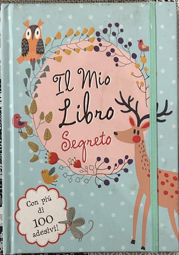 Il mio libro segreto. Con adesivi di AA.VV.