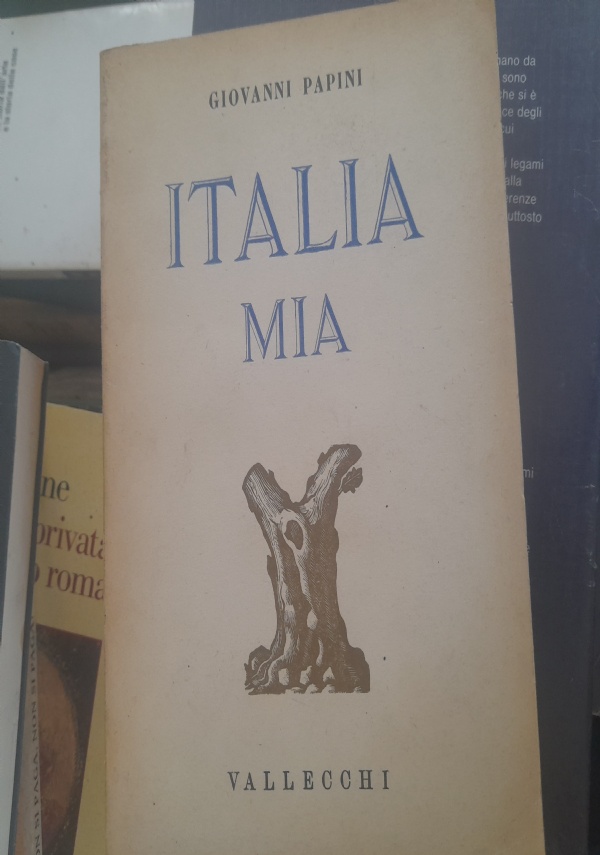  Il nuovo Devoto-Oli junior. Il mio primo vocabolario di  italiano. Ediz. ad alta leggibilità: 9788800500524: Devoto, Giacomo: Libros