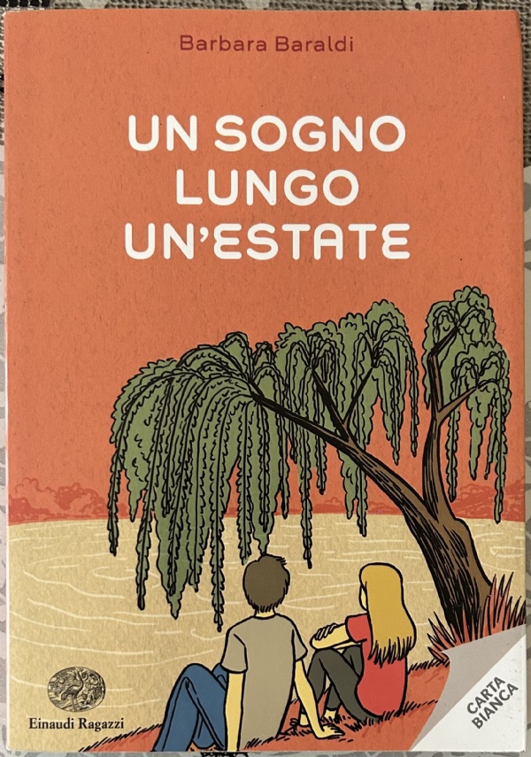 Un sogno lungo un’estate di Barbara Baraldi