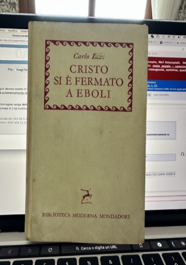 Labirinto di passioni il cinema di Pedro Almodvar di 