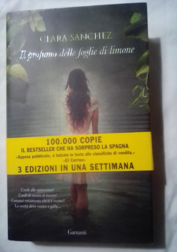 La ragazza dai capelli di fiamma di 