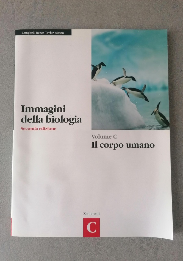 Storia dellarte italiana. Dal manierismo al neoclassicismo. Per le Scuole superiori di 