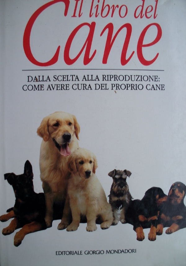 AMORI MIEI E ALTRI ANIMALI di 