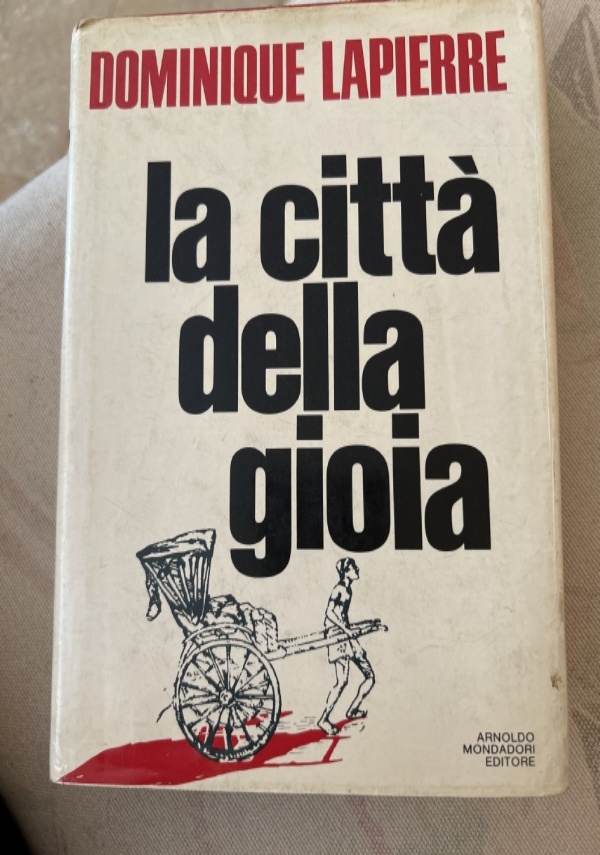 La citt della gioia di 