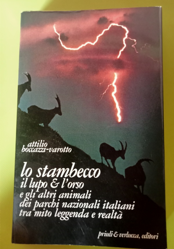 10.000 anni di storia in Valcamonica. di 