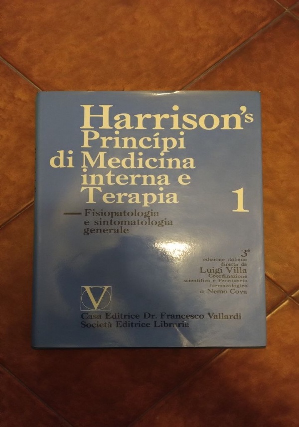 Il perfetto cavaliere: lequitazione razionale moderna di 