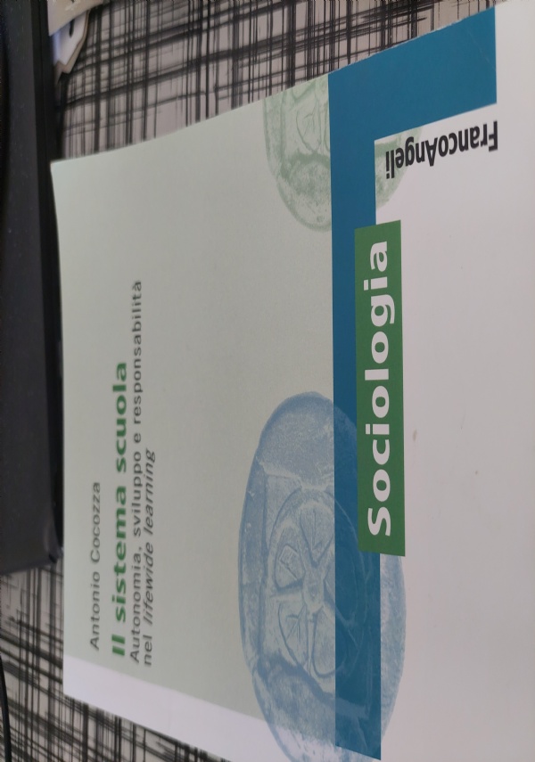 Analisi e innovazione dei processi formativi del terzo settore: competenze strategiche degli operatori volontari in servizio civile di 