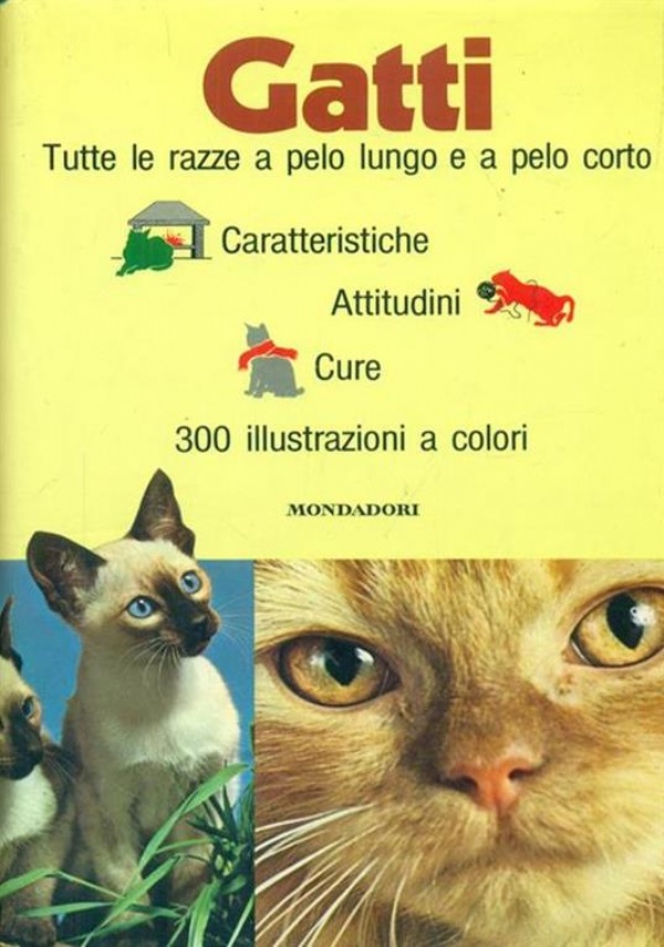 Il Mondo  Gatto di 