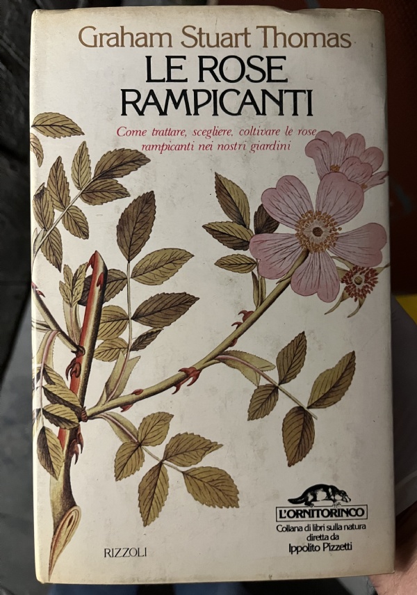 LE ROSE RAMPICANTI di GRAHAM STUART THOMAS