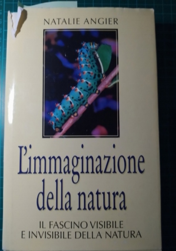 Nuovo calendario lunare delle semine e dei lavori di 