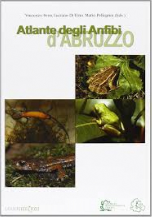ATLANTE DEGLI ANFIBI DABRUZZO di VINCENZO FERRI,          LUCIANO DI TIZIO,          MARIO PELLEGRINI