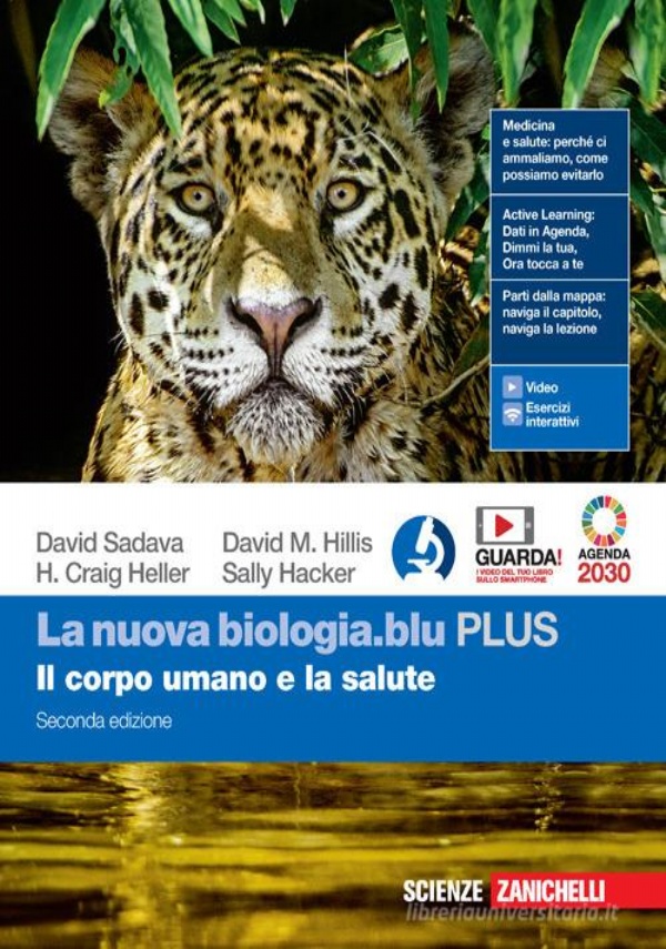 Il nuovo Amaldi per i licei scientifici.blu. Vol. 3 di 