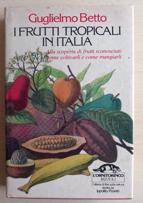 LA MIA AUTOBIOGRAFIA nino frassica (70% vera 80% falsa) di 