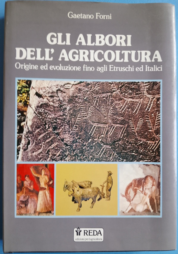 Storia della Tecnologia. Volume 6 Il Ventesimo secolo L’Energia e le risorse circa 1900-1950 di Autore